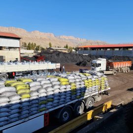 WhatsApp Image 2022-09-01 at 11.41.13 AM (1)