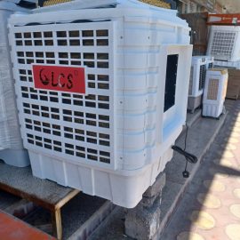 WhatsApp Image 2024-05-23 at 10.54.21